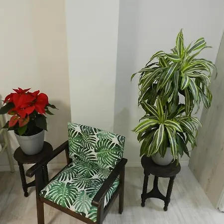 El Jardin De Paula Apartment Saragossa