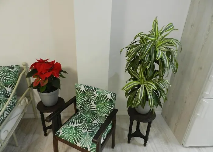 El Jardin De Paula Appartement Zaragoza
